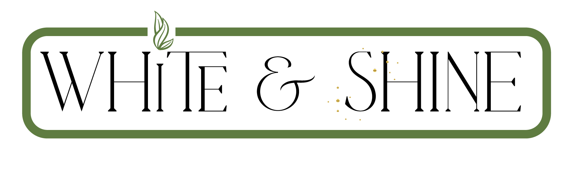 white-&-shine-LOgo