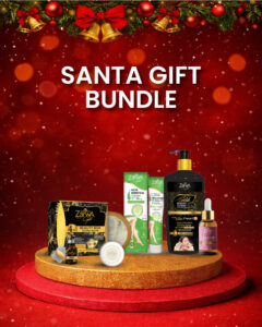 Santa Gift Bundle