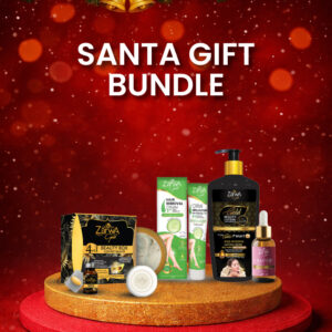 Santa Gift Bundle